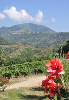trekking ad acciaroli